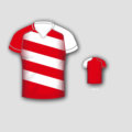 Rugby-Test-Jerseys4