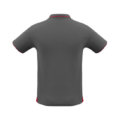 P226MS_SteelGrey_Red_Back